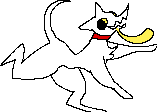 Rabid Dog
